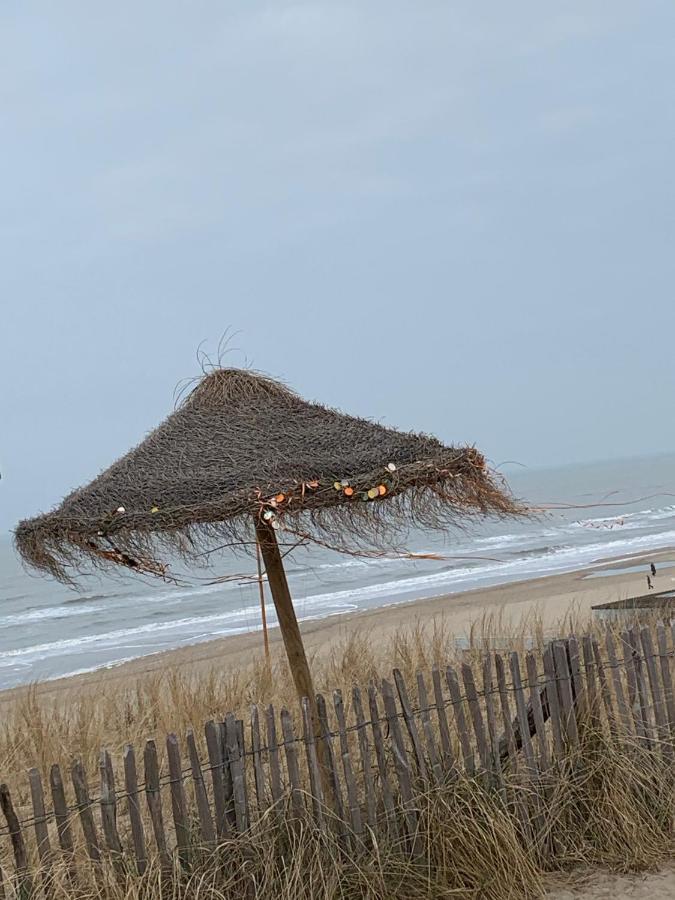 Appartement 'T Zomerhuis Zandvoort Εξωτερικό φωτογραφία